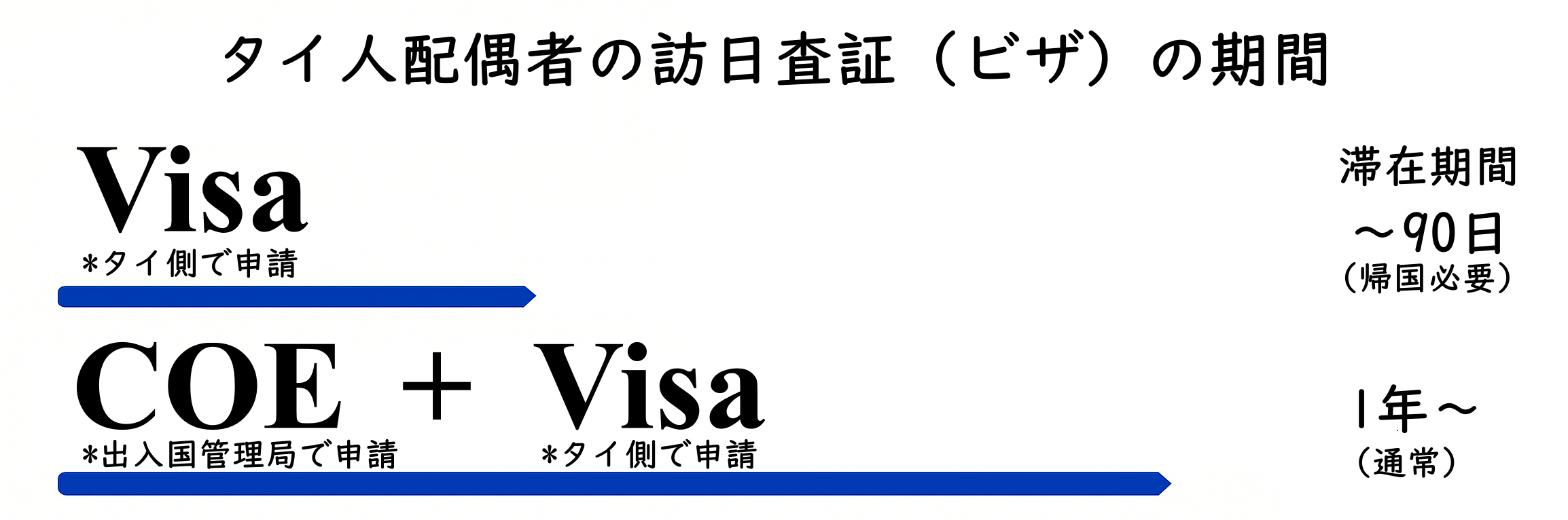 coe-visa-system